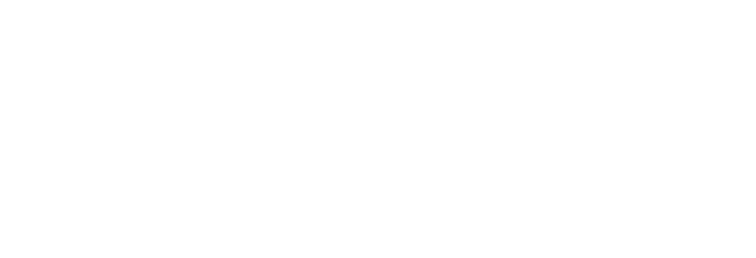 T­-Systems International GmbH (Deutsche Telekom)